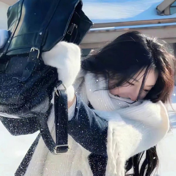动画综艺