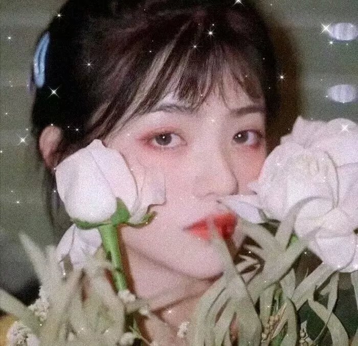 蓬门碧玉红颜泪
